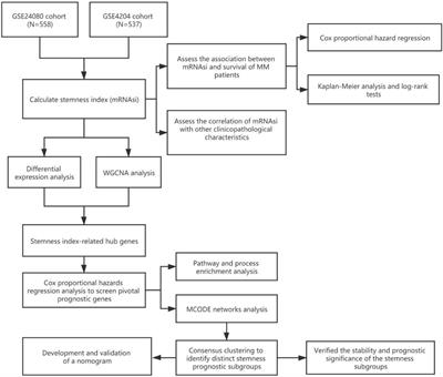 Integrative Analysis of Gene Expression Through One-Class Logistic Regression Machine Learning Identifies Stemness Features in Multiple Myeloma